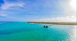 Villas Prints: Aerial view of palms on the sandy beach of Indian Ocean at sunny day