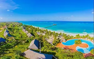 Villas Prints: Aerial view of palms on the sandy beach of Indian Ocean at sunny day