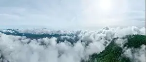 Travel Background Prints: Aerial view Panorama of flowing fog waves on mountain tropical rainforest