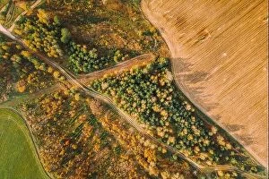 Aerial Landscape Collection: Aerial View Plantation With Young Green Forest Area Near Rural Field Landscape