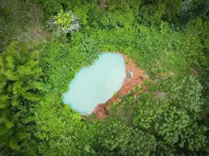 Equator Prints: Aerial view river forest nature woodland area green tree