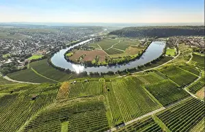Baden Wuerttemberg Prints: aerial view of the river loop in the Neckar Valley with its famous steep vineyards next to Mundelsheim