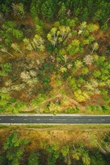 Aerial Landscape Collection: Aerial View Of Road Through Spring Forest Landscape. Top View Of Country Road