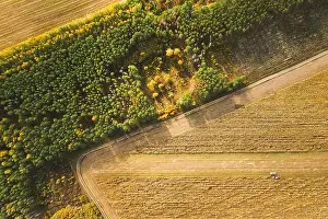 Aerial View Of Rural Landscape. Combine Harvester And Truck Working Together In Field, Collects Seeds. Harvesting Of Wheat In Autumn. Agricultural Mac
