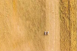 Aerial View Of Rural Landscape. Combine Harvester And Truck Working Together In Field, Collects Seeds. Harvesting Of Wheat In Autumn. Agricultural