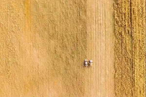 Aerial View Of Rural Landscape. Combine Harvester And Truck Working Together In Field, Collects Seeds. Harvesting Of Wheat In Autumn. Agricultural Mac