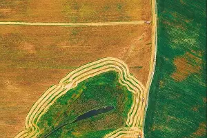 Aerial View Of Rural Landscape. Combine Harvester Working In Field, Collects Seeds. Harvesting Of Wheat In Late Summer. Agricultural Machine Collectin