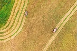 Aerial View Of Rural Landscape. Two Combines Harvesters Working In Field, Collects Seeds. Harvesting Of Wheat In Late Summer. Agricultural Machine Col