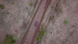 Sustainable Lifestyle Prints: Aerial view of a rural road in the middle of green endless meadows