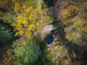 Carpathian Prints: Aerial view of a rural road with in yellow and orange autumn forest