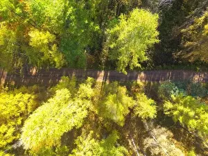 Valley View Prints: Aerial view of a rural road with in yellow and orange autumn forest