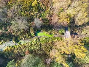 Valley View Prints: Aerial view of a rural road with in yellow and orange autumn forest