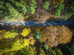 Carpathian Prints: Aerial view of a rural road with in yellow and orange autumn forest