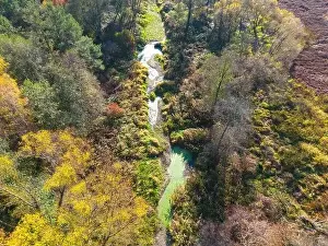 Carpathian Prints: Aerial view of a rural road with in yellow and orange autumn forest