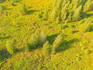 Valley View Prints: Aerial view of a rural road with in yellow and orange autumn forest