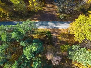 Valley View Prints: Aerial view of a rural road with in yellow and orange autumn forest