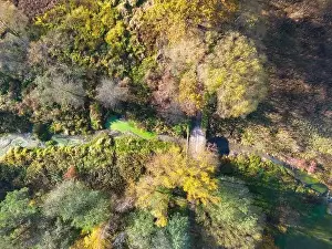 Aerial view of a rural road with in yellow and orange autumn forest