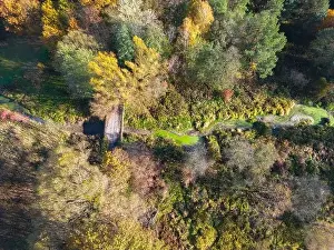 Aerial view of a rural road with in yellow and orange autumn forest