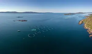 An aerial view of a salmon fish farm in Bantry Bay in County Cork of western Ireland