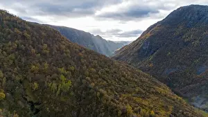 Directly Above Prints: Aerial view of a scenic valley surrounded by forested mountains under a cloudy sky