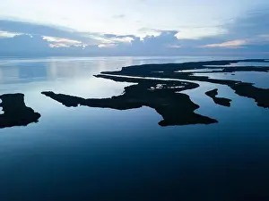 An aerial view shows extensive mangroves in Turneffe Atoll off the coast of Belize. Mangroves provide vital habitat for many fish and invertebrates