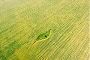 Aerial View Of Small Green Natural Island With Green Grass In Summer Field, Summer Meadow. Beautiful Green Grass Rural Landscape In Bird's-eye View