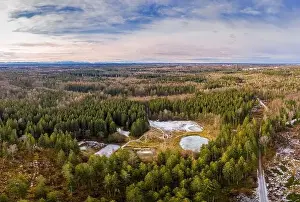 Green Park Prints: Aerial view of a small lakes inside a forest with conifer trees