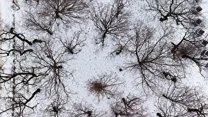 Aerial view of snow-clad lawns and leafless trees in Pozna
