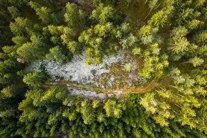Amazing Landscape Prints: Aerial view of snowy forest with a little country road. Captured from above with a drone