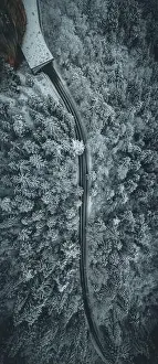 Forest Road Prints: Aerial view of snowy forest with a road. Captured from above with a drone