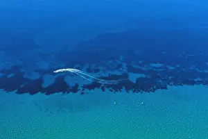 Aerial view of speed boat in motion. Water transportation and summer leisure time activity