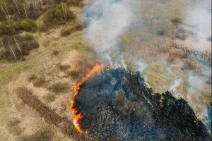 Bushfire Prints: Aerial View. Spring Dry Grass Burns During Drought Hot Weather