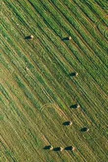 Aerial View of Summer Field Landscape With With Dry Hay Bales During Harvest. Trails Lines on Farmland. Top View Agricultural Landscape. Drone View. B