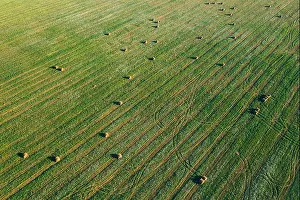 Aerial View of Summer Field Landscape With With Dry Hay Bales During Harvest. Trails Lines on Farmland. Top View Agricultural Landscape. Drone View. B