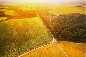 Aerial View Of summer Hay Rolls Straw Field and forest Landscape. Haystacks, Hay Rolls. Harvest Season. Elevated View. sunbeam sunlight sunshine