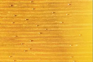 Aerial View Of Summer Hay Rolls Straw Field Landscape In Evening. Haystack, Hay Roll In Sunrise Time. Sunbeam Sunlight Sunshine Highlight. Natural