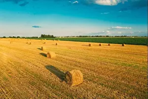 Aerial View Of Summer Hay Rolls Straw Field Landscape In Evening. Haystack, Hay Roll in Sunrise Time