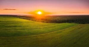 Aerial Landscape Collection: Aerial View. Sunshine At Sunset In Bright Dawn Sky Above Agricultural Landscape With Young Corn