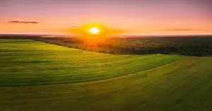 Aerial View. Sunshine At Sunset In Bright Dawn Sky Above Agricultural Landscape With Young Corn Maize Field. Summer Season. Beautiful Rural Country