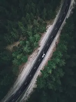 Forest Path Prints: Aerial view taken by drone of a car driving on a forest road in autumn