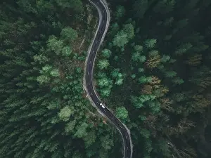 Forest Path Prints: Aerial view taken by drone of a car driving on a forest road in autumn