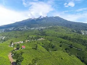 Green Tea Prints: Aerial view of tea plantation in Kemuning, Indonesia with Lawu mountain background