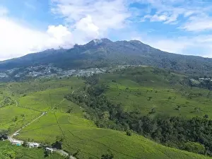 Green Tea Prints: Aerial view of tea plantation in Kemuning, Indonesia with Lawu mountain background