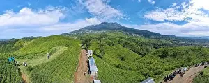 Green Tea Prints: Aerial view of tea plantation in Kemuning, Indonesia with Lawu mountain background