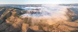 Terraced Prints: Aerial view of the terraced vineyards in romantic sunset in the Douro Valley near the village of Pinhao