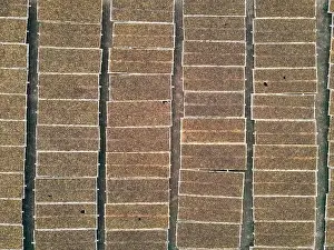 Nicotine Prints: Aerial view of traditional drying tobacco in the field at Indonesia