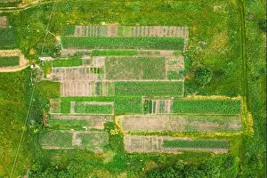 Garden Plot Prints: Aerial View Of Vegetable Garden. Potato Plantation At Summer Day. Village Garden Beds
