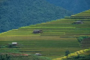Sapa Prints: Aerial view above of Vietnam landscapes with terraces rice field