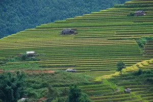 Sapa Prints: Aerial view above of Vietnam landscapes with terraces rice field
