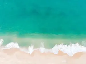 Aerial view top view Beautiful topical beach with white sand coconut palm trees and sea